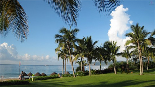 驰厕耐普汽车美容