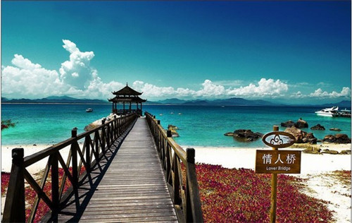 实体店返乡创业好吗