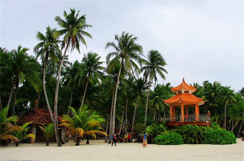 进口炒货加盟费多少