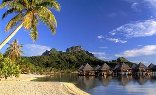 倭瓜条炒韭菜怎么炒（倭瓜条炒韭菜怎么炒的）