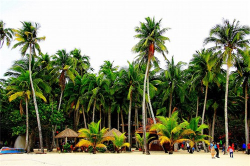 苹果外面的蜡能吃吗（苹果外面的蜡可以吃吗）