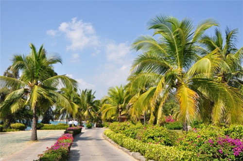 益元堂营养保健店（益元堂药店）