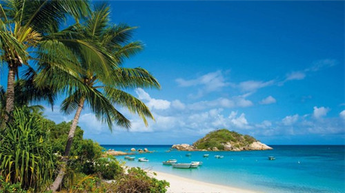 吃辣椒炒鸡丁盖饭会胖吗（吃炒鸡丁会不会胖）