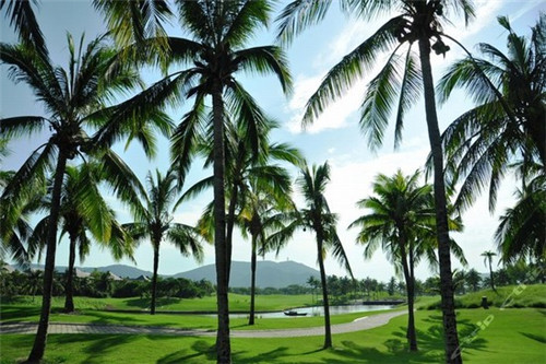 戊丰记卤肉饭全国有几家店铺，戊丰记卤肉饭加盟开店怎么样