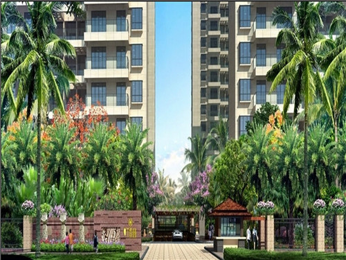 沙棘排毒加盟费多少